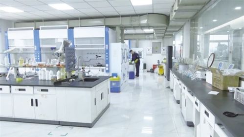 玉門以科技創新驅動產業創新，信息技術咨詢服務助推企業轉型